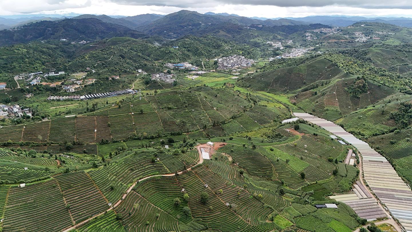 倚象茶山：层叠的梯田茶园绿意铺满山体，村寨与山路点缀其间，远山隐入云雾